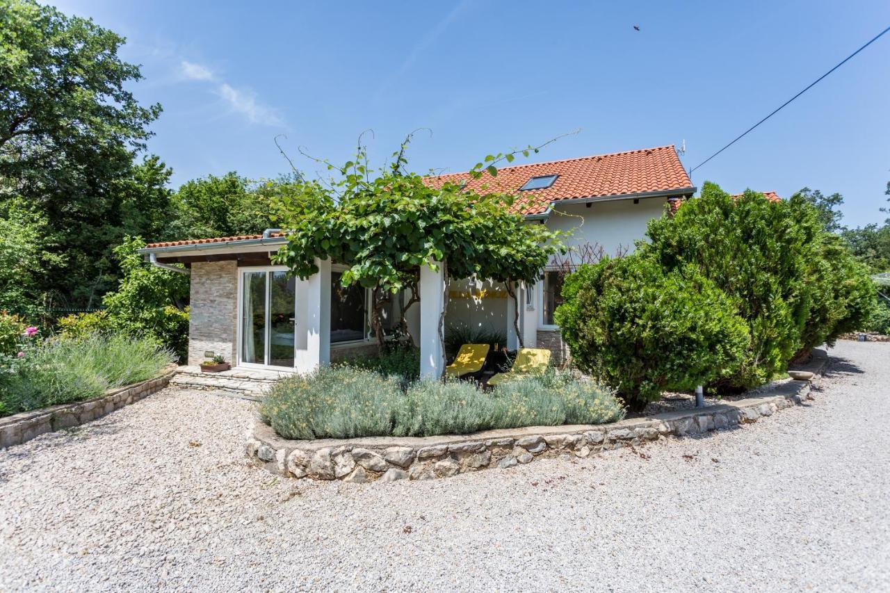 Molnar Resort Villa Mimoza&Apartment Nea Brzac Exterior foto