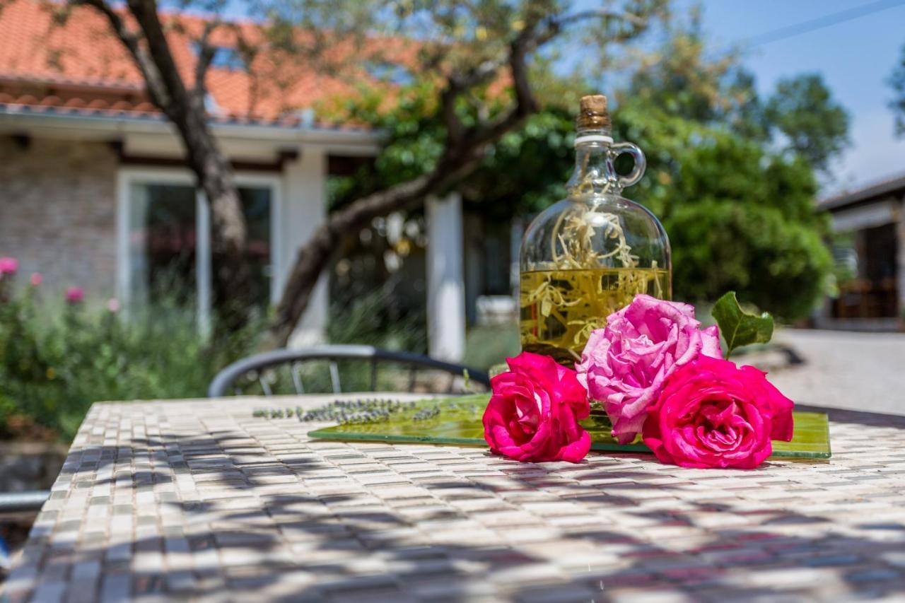 Molnar Resort Villa Mimoza&Apartment Nea Brzac Exterior foto